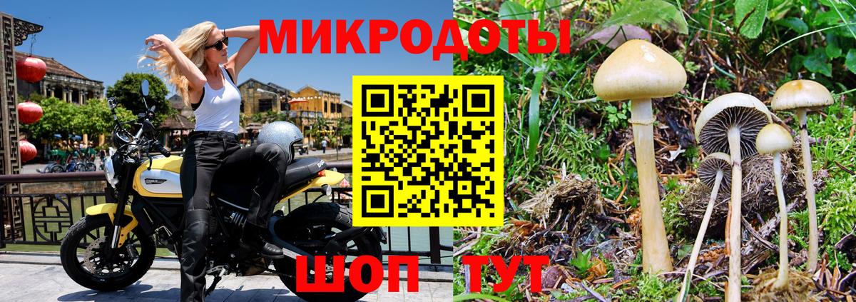 Галлюциногенные грибы Cubensis Родники