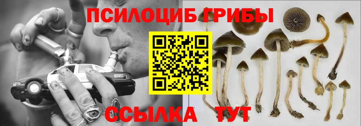 Родники  Галлюциногенные грибы Psilocybe  Вход с VPN  Галлюциногенные грибы GOLDEN TEACHER 